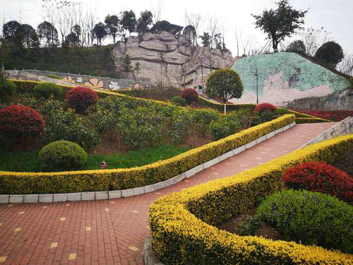 園林養(yǎng)護(hù) (3)