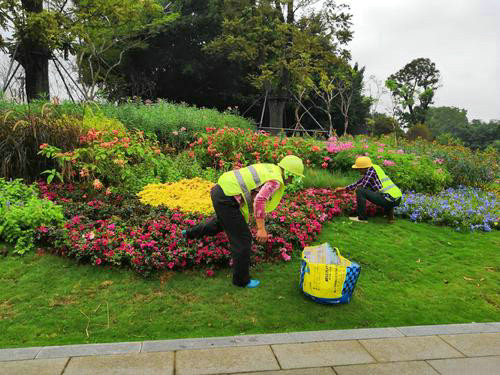 在園林綠化養(yǎng)護(hù)過程中哪些地方容易被忽略？