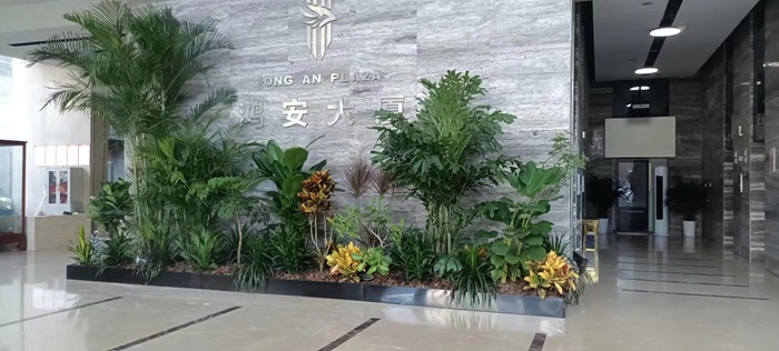 廠區(qū)植物種植